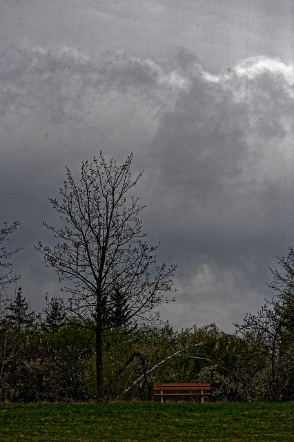 20250413+18+19_Benneckenstein Umfeld Moserteich,Carlshausturm