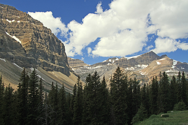 Jasper National Park