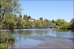 Marnay (70) 7 mai 2015. La rivière Ognon.