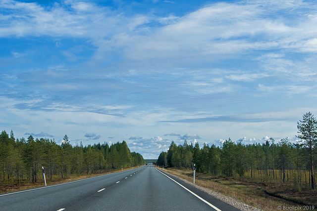 60km hinter Oulu (© Buelipix)