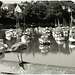 le gardien du port