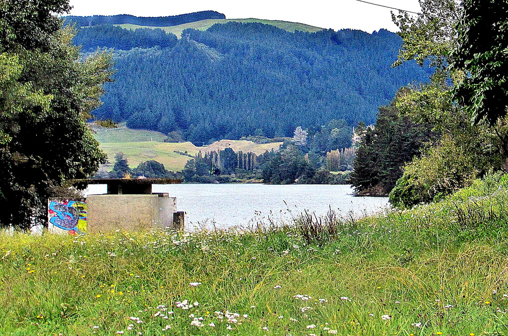 At Lake Whakamaru