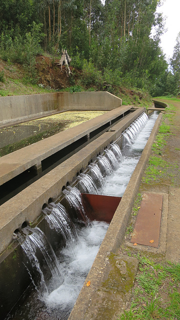 Levada dos Tornos