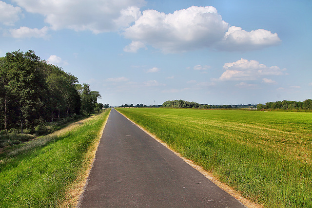 Auf dem Rheindeich (Rheinberg) / 8.06.2023