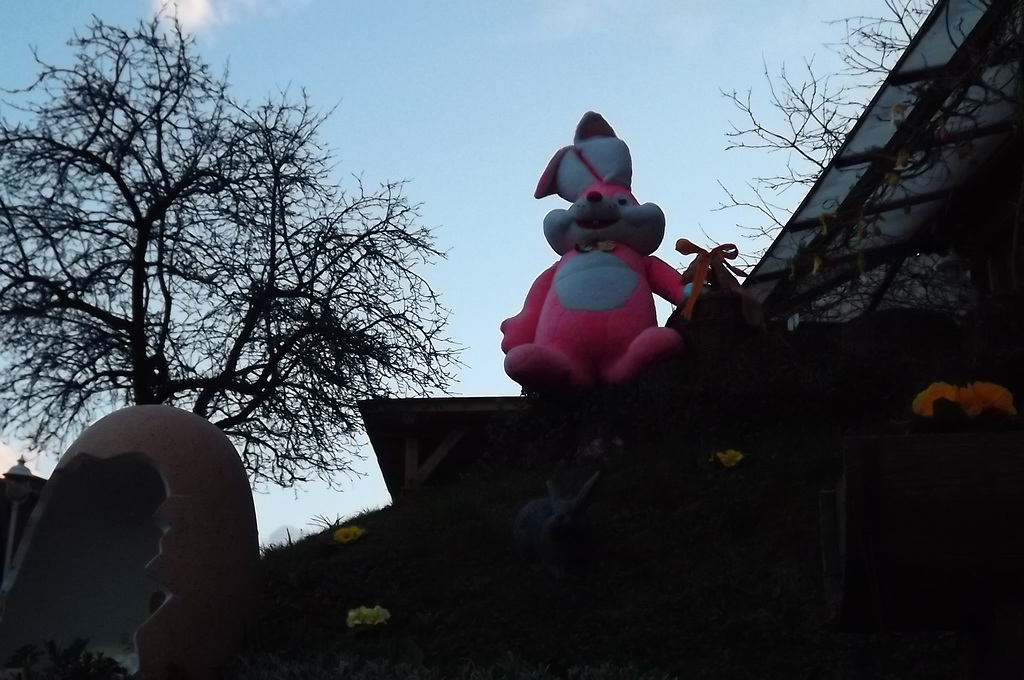 alsace 201504 (17)