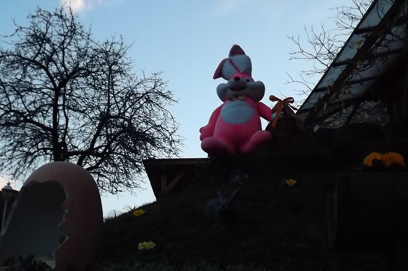alsace 201504 (17)
