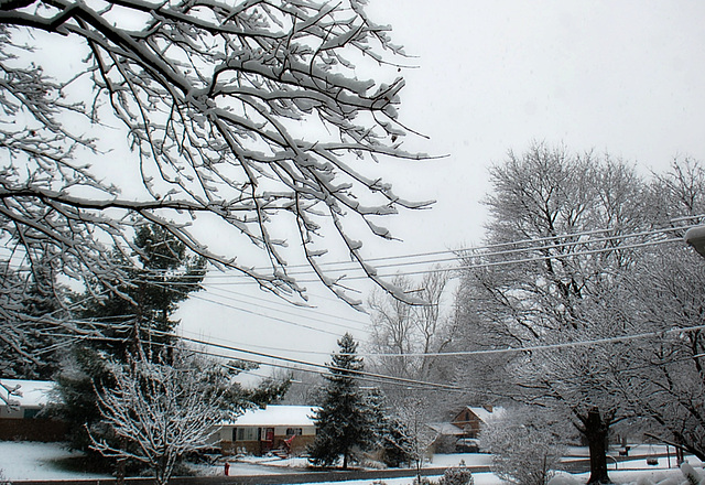 First snow of the season