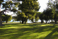 Yanchep National Park