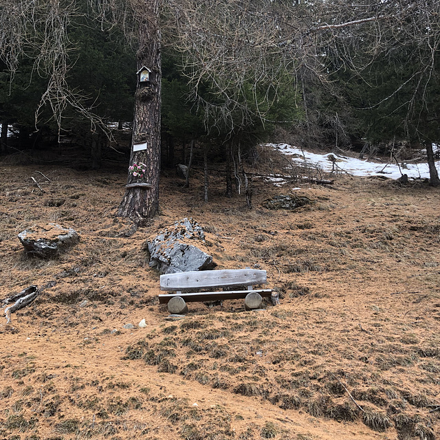 Bench in the woods.