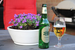 Prost! Prost!