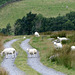 Great Langdale