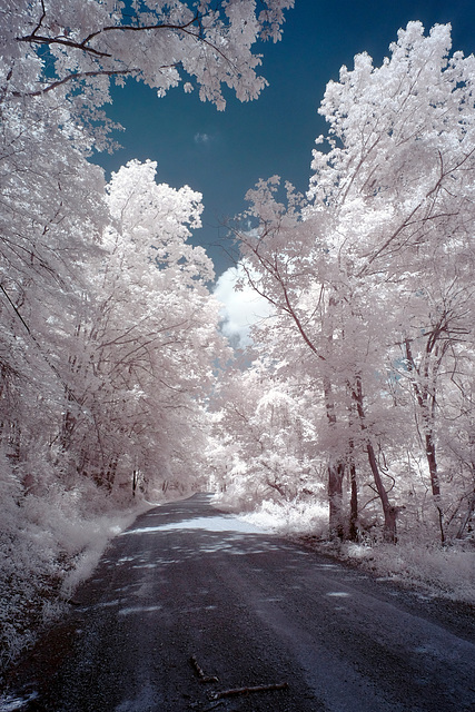 590nm is watercolors; 720nm is acrylics