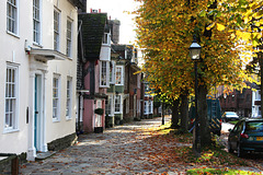 The Causeway in Autumn