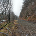 Volmetalbahn mit verwildertem Gleis (Hagen-Delstern) / 18.12.2016