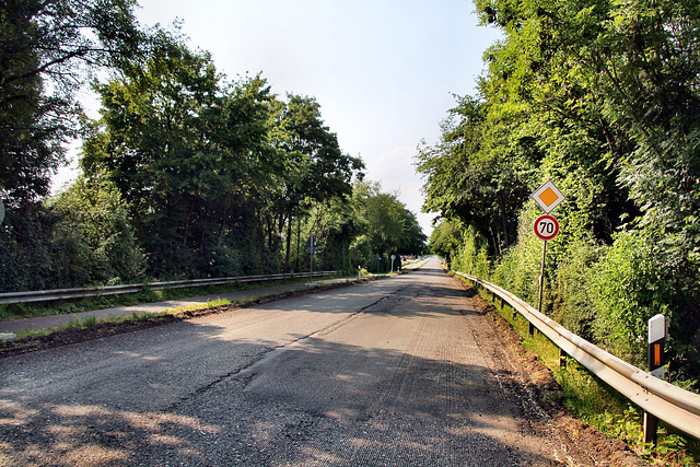 Borther Straße (Rheinberg) / 8.06.2023