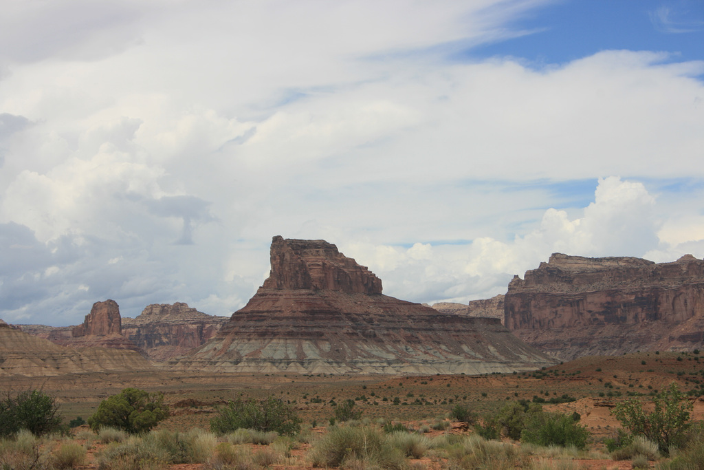 IMG 7479