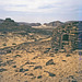 Sinai  Nawamis settlement - Jebel Matamir   1981