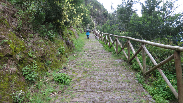 Levada dos Tornos