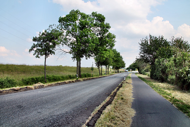 Borther Straße (Rheinberg) / 8.06.2023