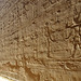 Wall Carvings At Edfu Temple