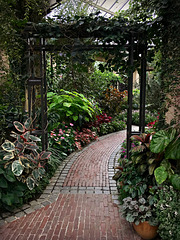 A Garden Path