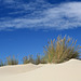 Umpqua Dunes