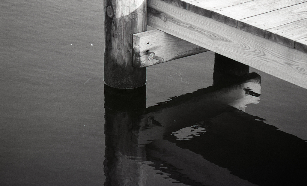 Dock