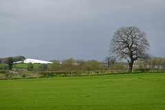 Stormy horizon