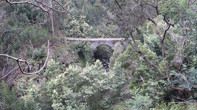 Levada dos Tornos