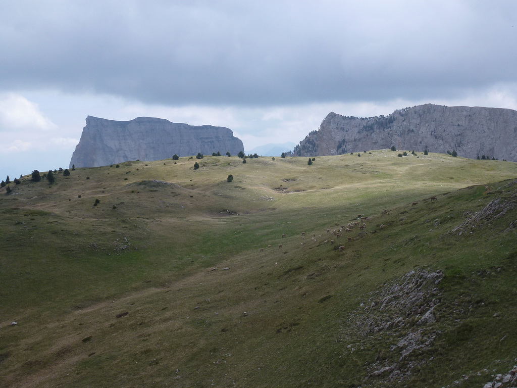 20150523 -25 Rando VTT La chapelle en Vercors (129) al
