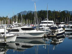 Coal Harbour Reflections