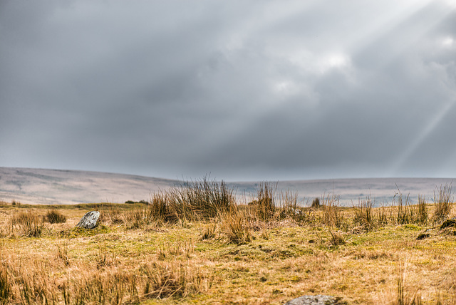 Dartmoor - 20160322