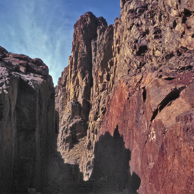 Barren Mount Sinai  -  15 May 1981