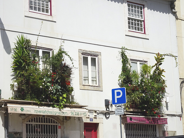 Anti-theft system for balconies