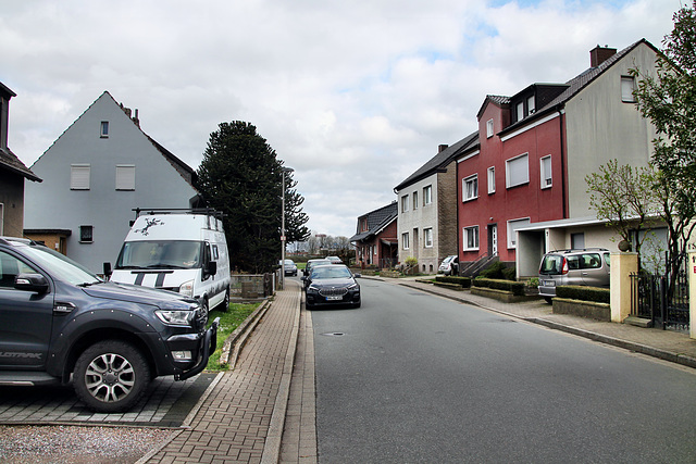 Südkamener Straße (Kamen-Südkamen) / 16.03.2024