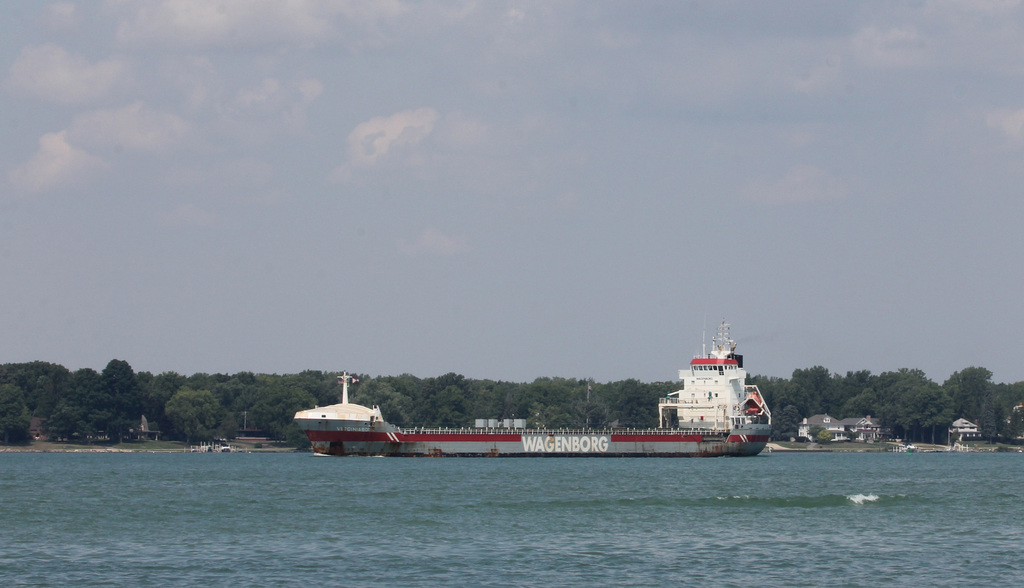 Virginiaborg of the Wagenborg Line