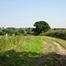 Path from Lullington towards Birchington House from near Limes Farm
