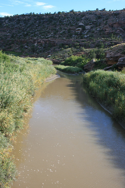 Dolores River