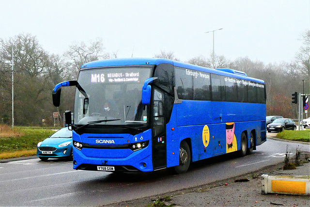 Freestones Coaches (Megabus contractor) YT68 GXM at Fiveways, Barton Mills - 19 Dec 2021 (P1100250)