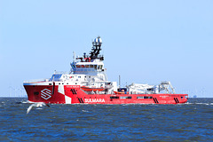 OCEAN MARLIN OCEAN MARLIN