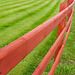 an Irish red fence