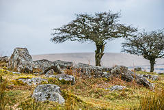 Dartmoor - 20160322