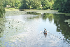 Idylle Wilhelmsburger Dove Elbe