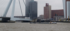 Rotterdam Nieuwe Maas (#0122)