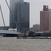Rotterdam Nieuwe Maas (#0122)