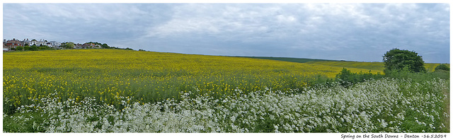 Spring on the South Downs - Denton - 16.5.2018