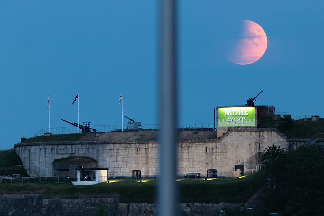 EOS 6D Peter Harriman 21 31 32 16543 Moon3 dpp