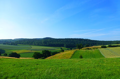 DE - Andernach - Auf dem Höhlen- und Schluchtensteig