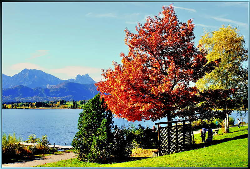 Colourful autumn at Hopfensee. ©UdoSm