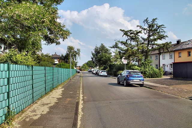 Kapellenfeldstraße (Rheinberg-Ossenberg) / 8.06.2023